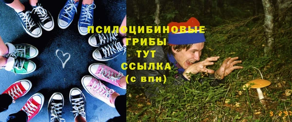 герыч Бронницы