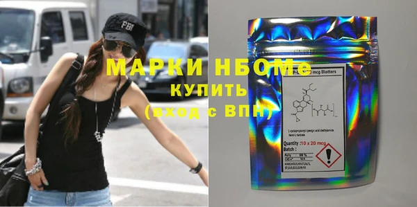 молекула духа Бородино