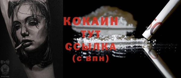 молекула духа Бородино