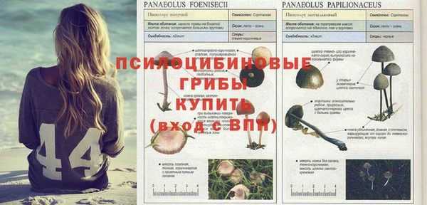 мяу мяу кристалл Покачи